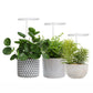 LED Growth Lighting for Indoor Plant