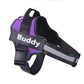Customizable Dog Harness with Name Embroidery