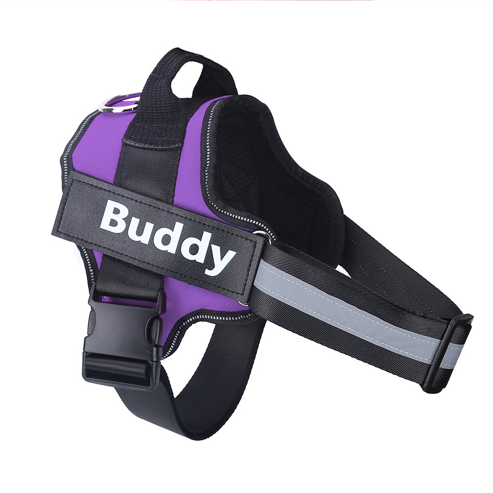 Customizable Dog Harness with Name Embroidery