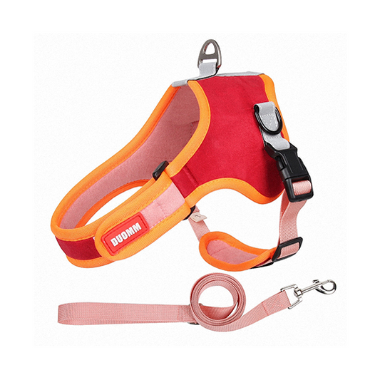 SaddleSoft Pet Harness & Leash Set