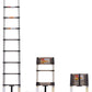 Multi-Purpose Telescoping Ladder