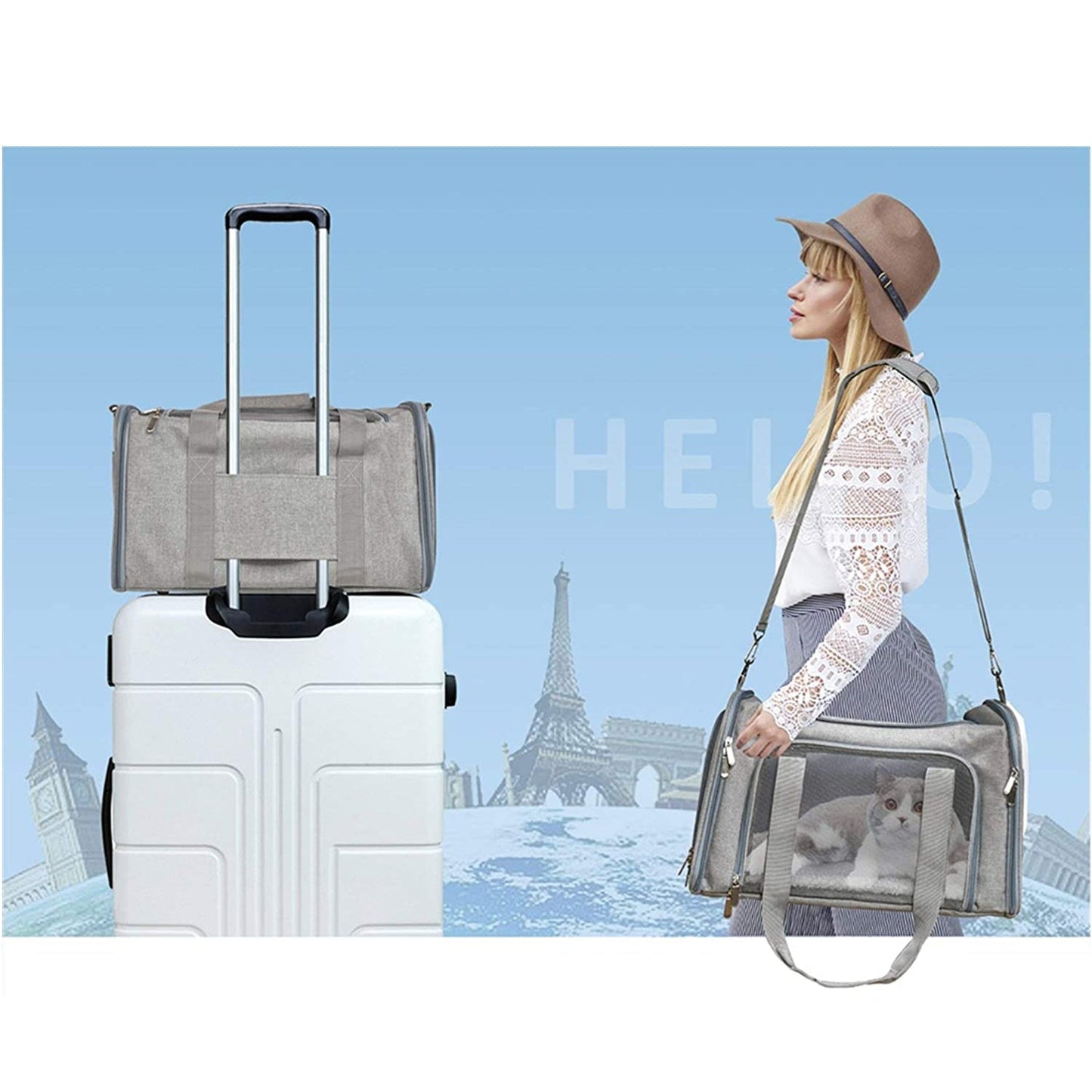 Pet Carrier Bag