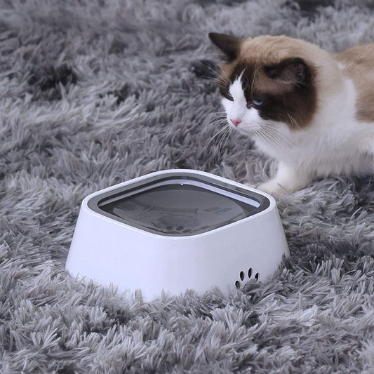 Spill-Safe Drinking Bowl