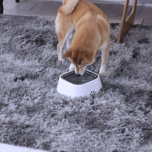 Spill-Proof Pet Water Bowl