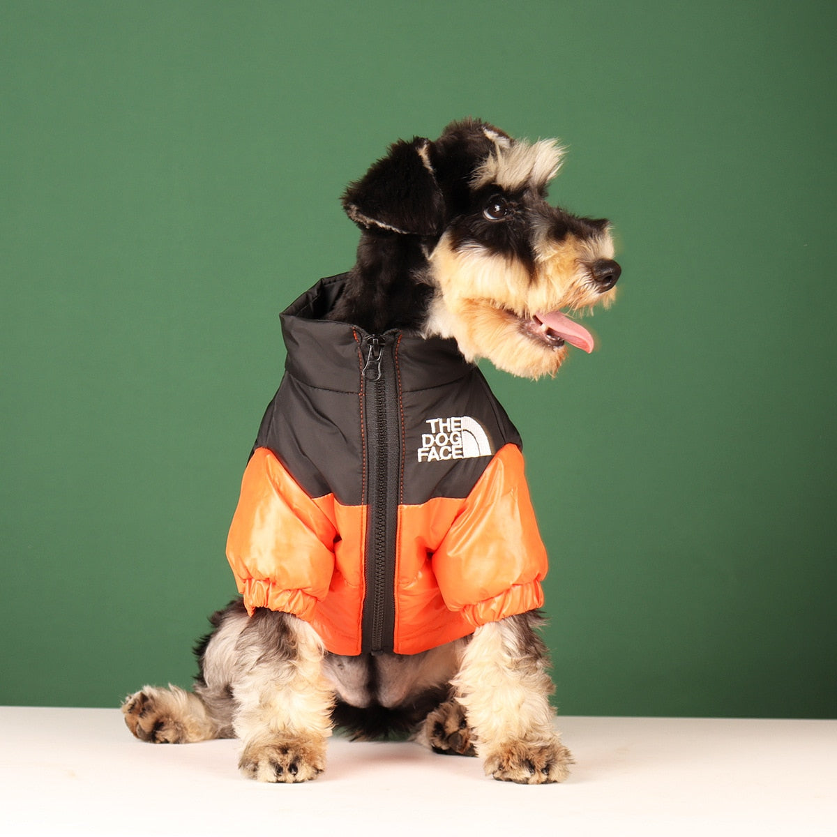 Dog Windproof Reflective Jacket
