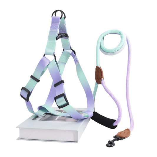 Colorful Pet Harness with Leash