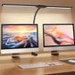 Double Head LED Desk Lamp