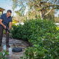 Professional Pressure Surface Cleaner