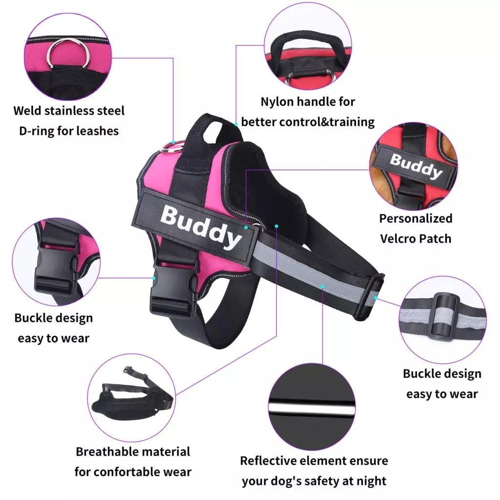 Customizable Dog Harness with Name Embroidery