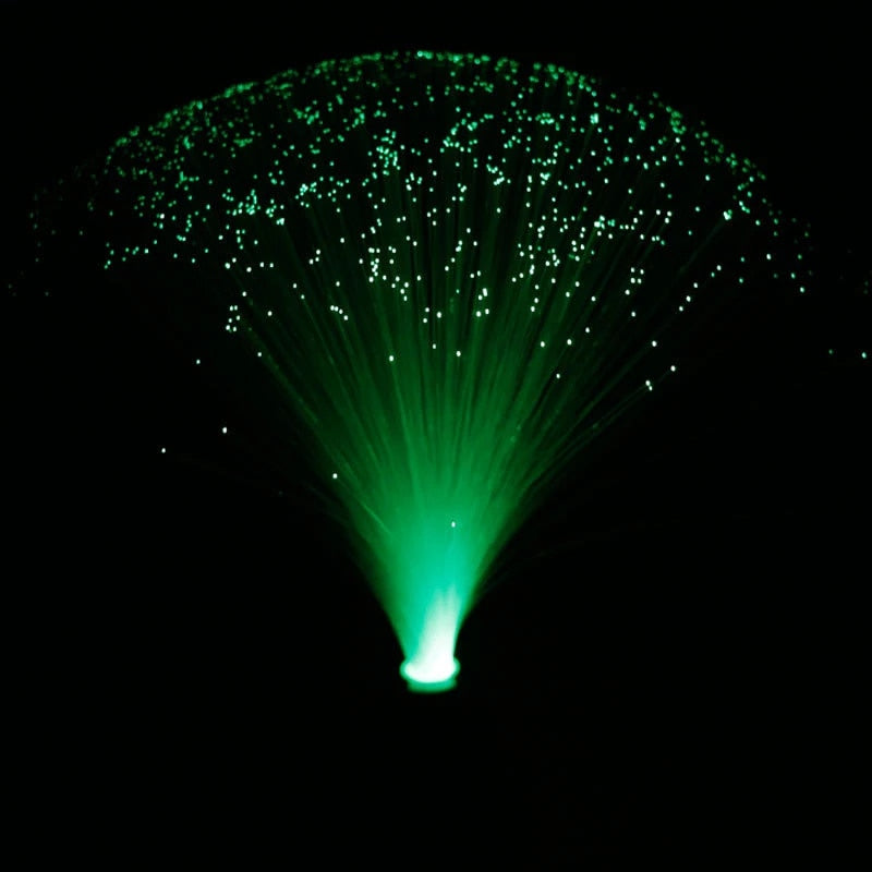 Fiber Optic Lamp