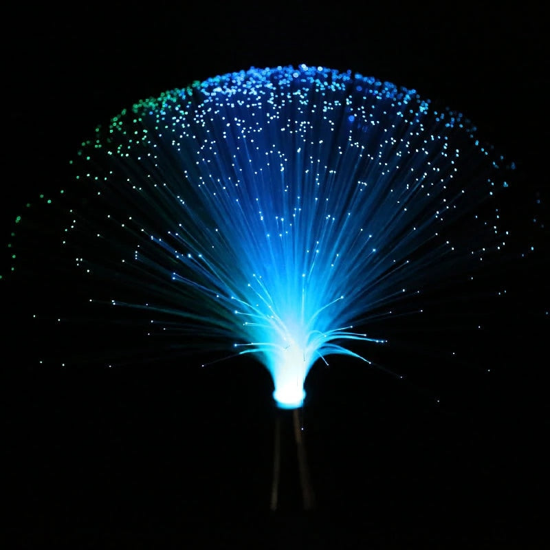 Fiber Optic Lamp