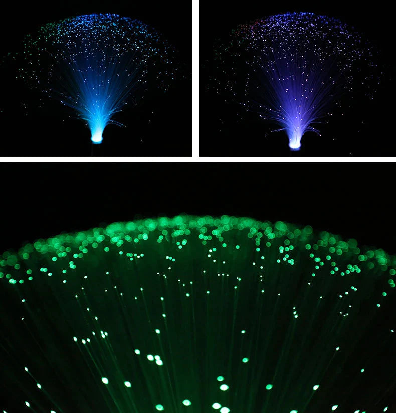 Fiber Optic Lamp
