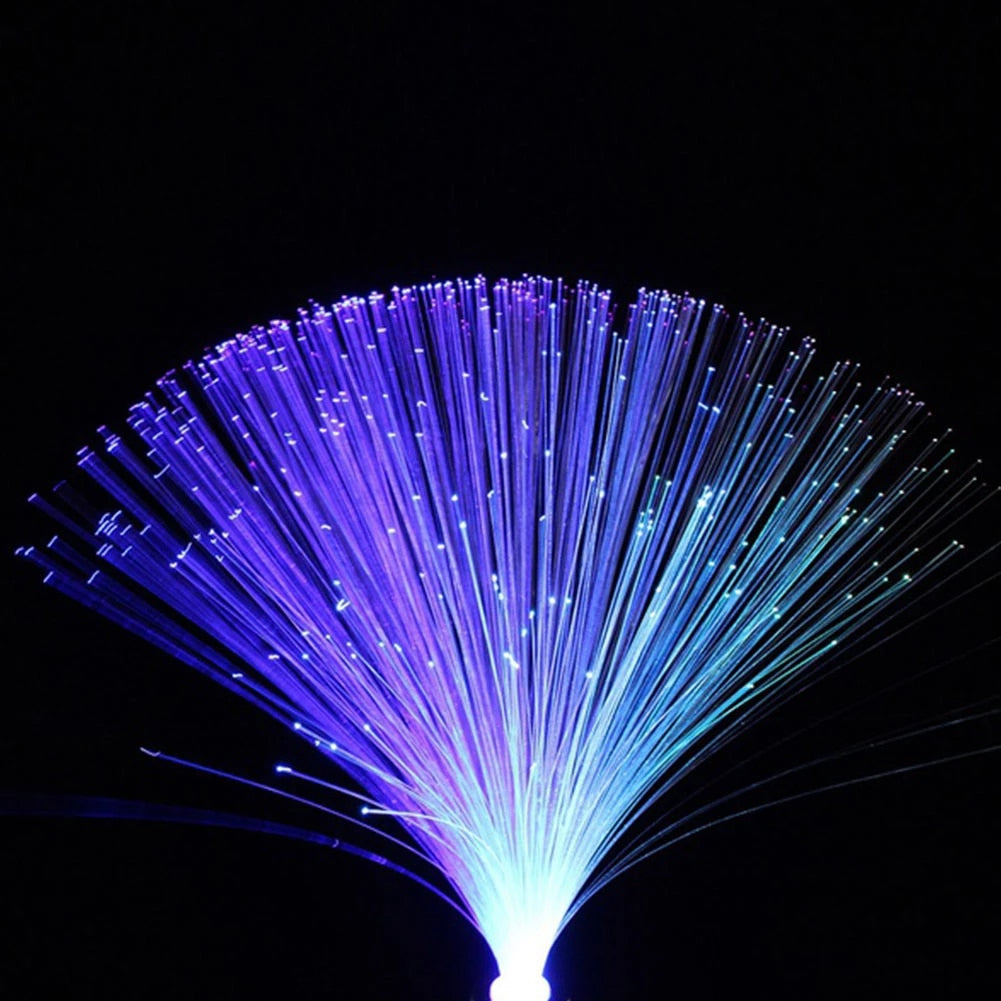 Fiber Optic Lamp