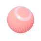 Smart Pet Play Sphere
