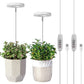 LED Growth Lighting for Indoor Plant