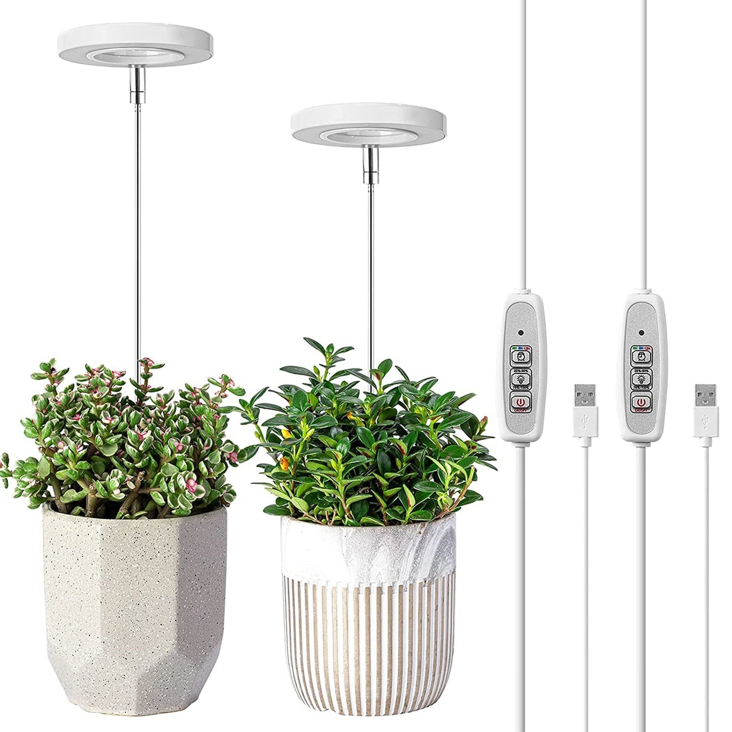 LED Growth Lighting for Indoor Plant