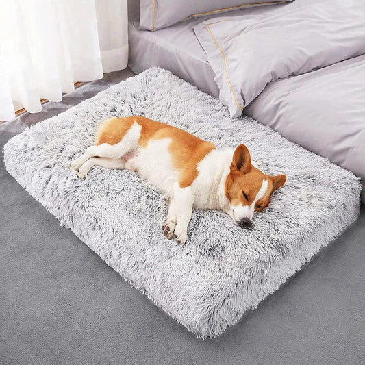 Orthopedic Calming Dog Bed