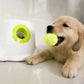 Smart Interactive Pet Ball Launcher