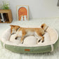 Ergonomic Dog Bed