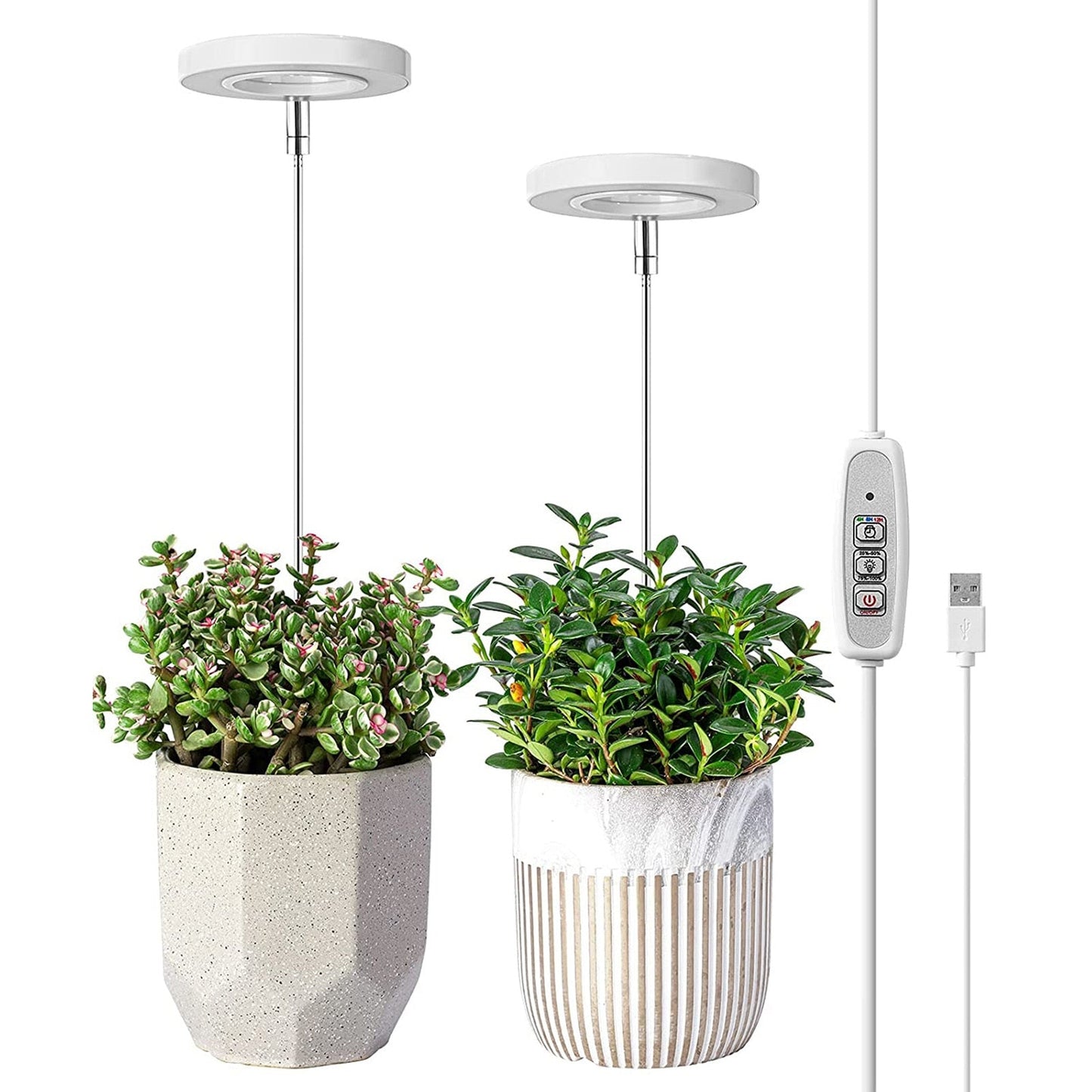 LED Growth Lighting for Indoor Plant