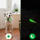 Glowing Dog Collar