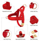 Personalized Dog Harness & Leash Set