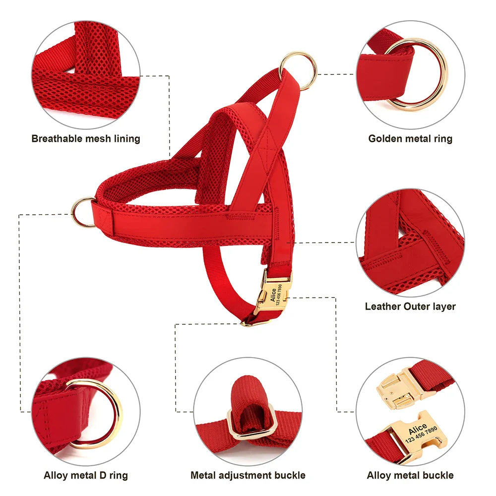 Personalized Dog Harness & Leash Set