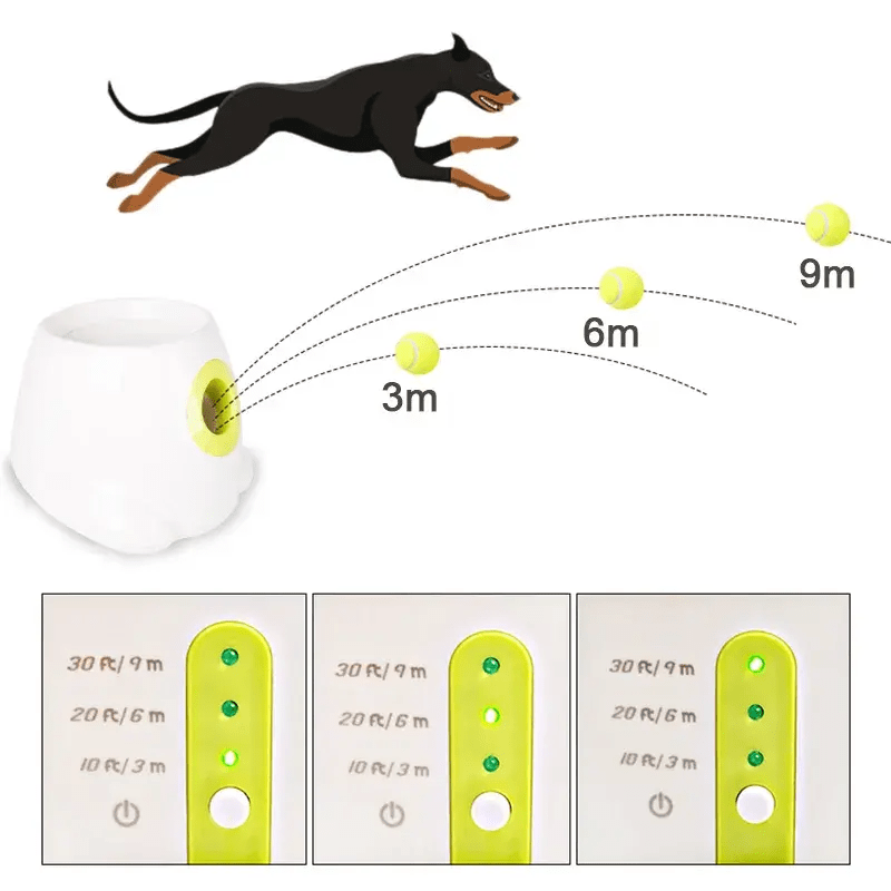 Pet Playtime Pro Launcher