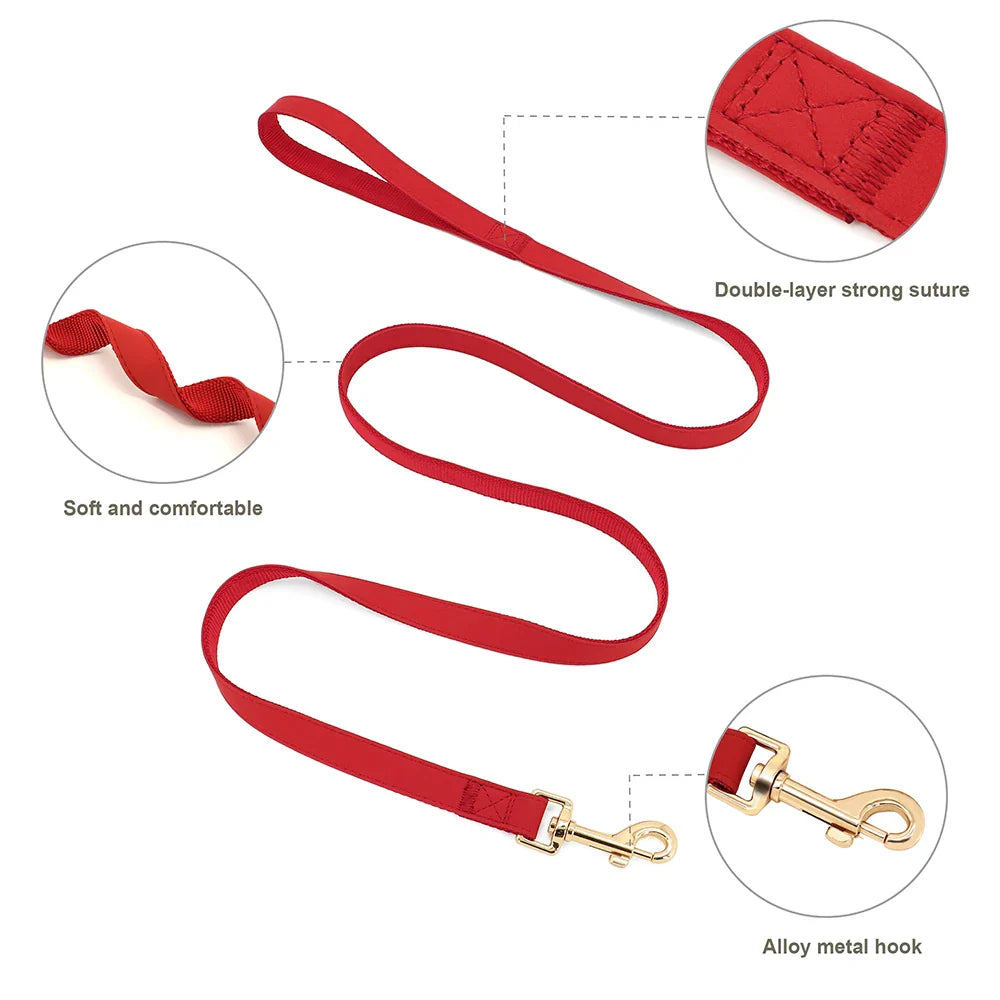 Personalized Dog Harness & Leash Set
