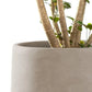 Pottery Planter Pots