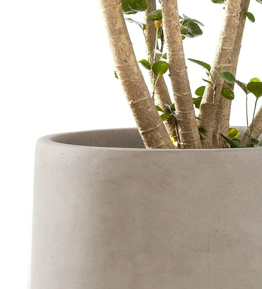 Pottery Planter Pots