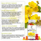 Natural Mullein Gummies