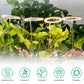 LED Growth Lighting for Indoor Plant
