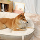 Ergonomic Dog Bed