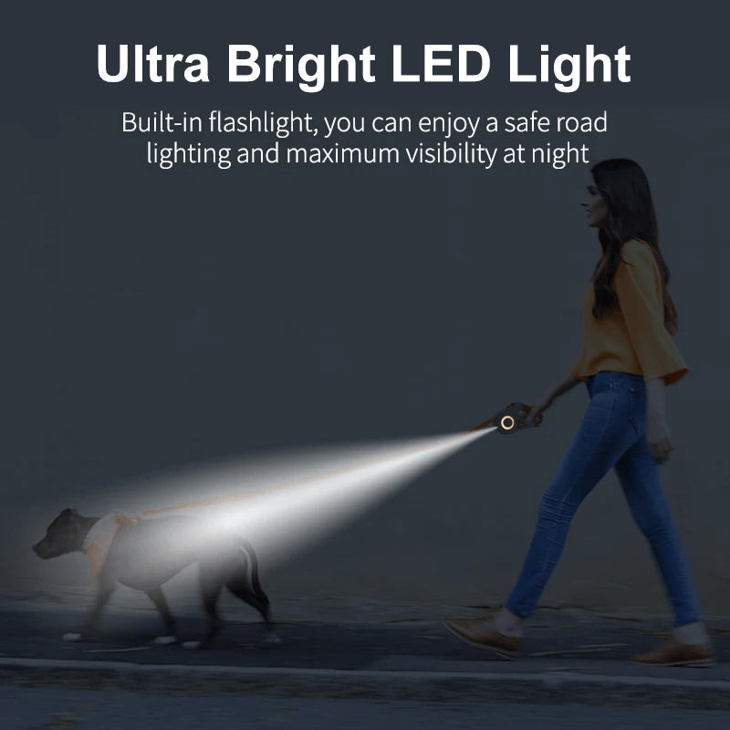 NightGlow Dog Leash