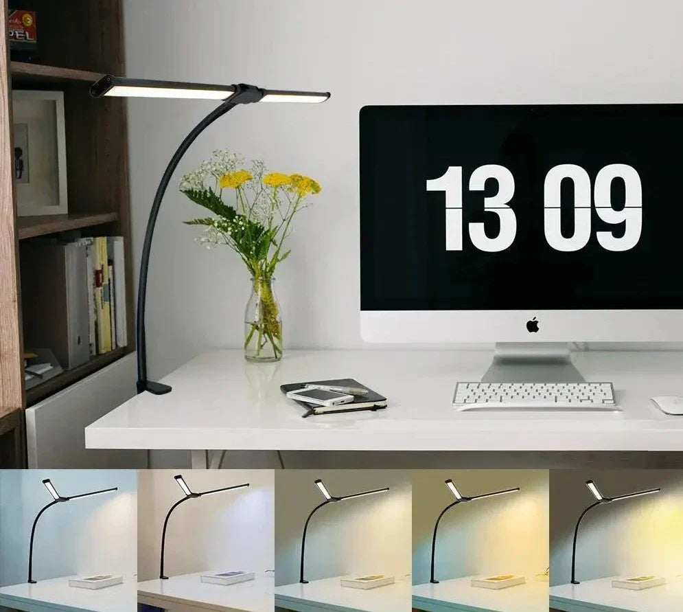 Double Head LED Desk Lamp