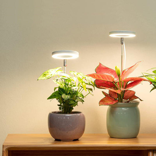LED Growth Lighting for Indoor Plant