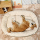Ergonomic Dog Bed