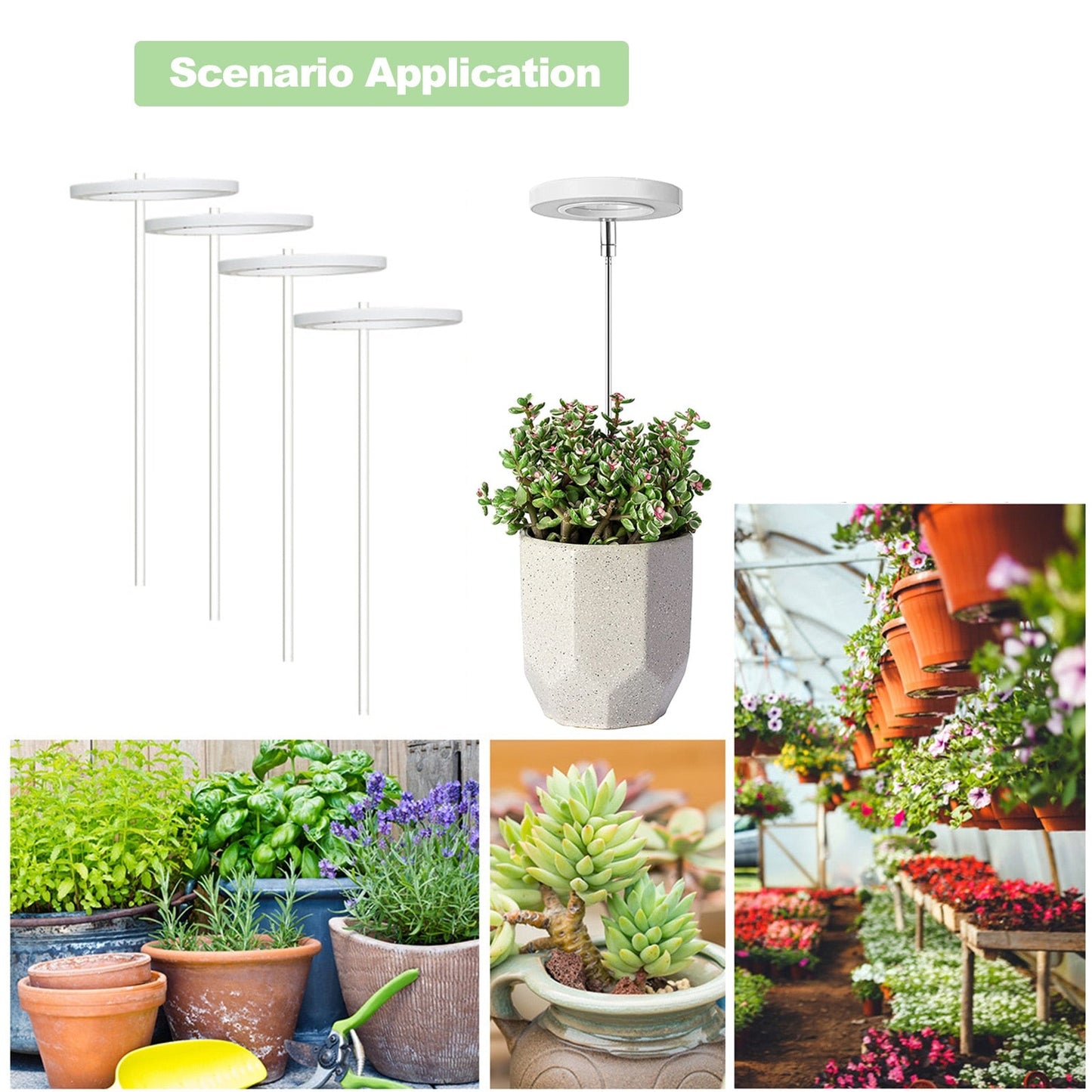LED Growth Lighting for Indoor Plant