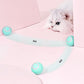 Smart Pet Play Sphere