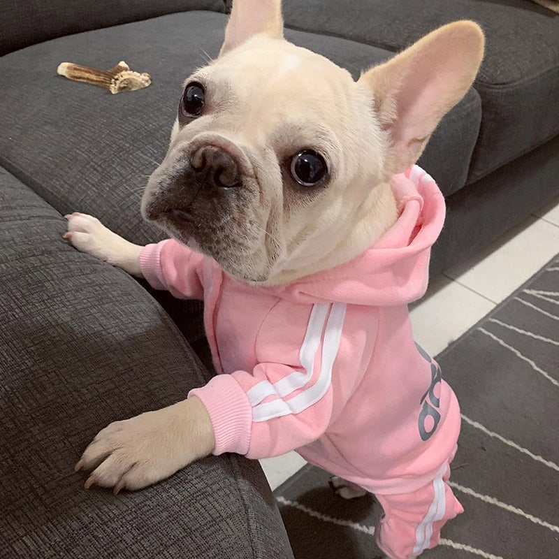 Adidog Dog Hoodies
