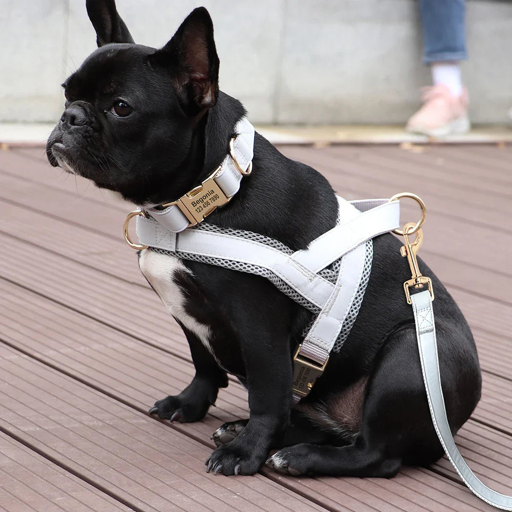 Personalized Dog Harness & Leash Set