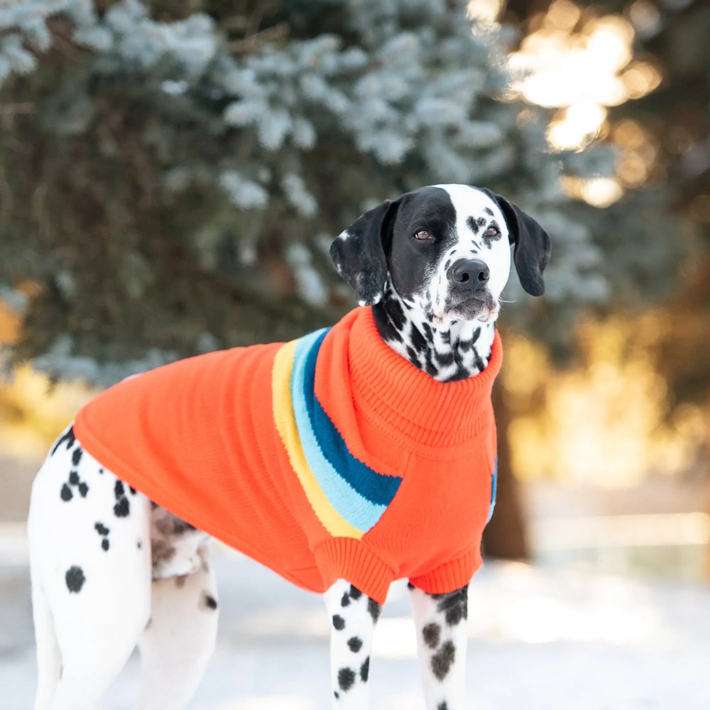 Orange Retro Dog Sweater