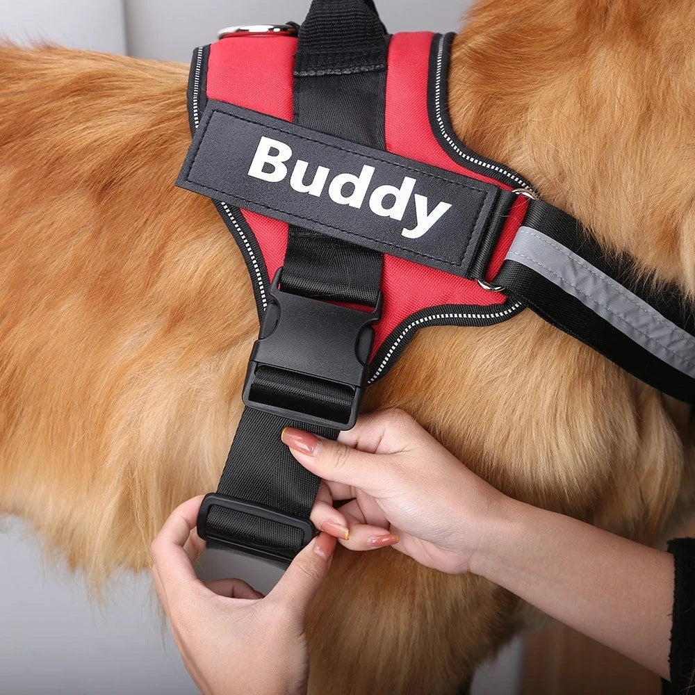 Customizable Dog Harness with Name Embroidery