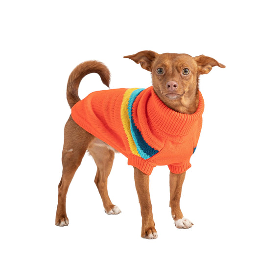 Orange Retro Dog Sweater