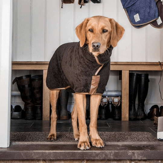 Dog Drying Coat (Super Absorbent Bathrobe)