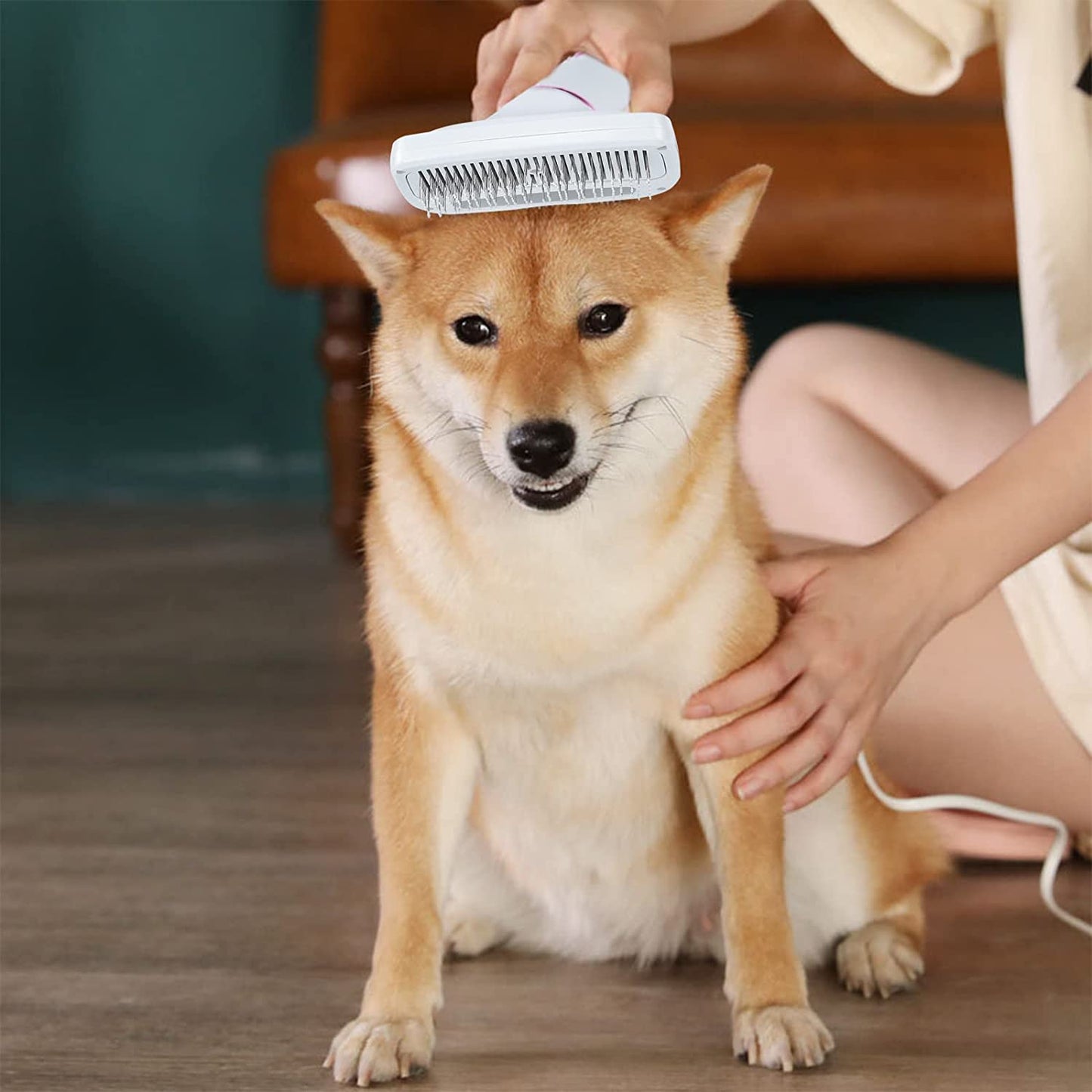 Pet Groomer & Hair Dryer