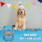 Pet Training Puzzle Game