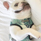 Tropical Harness and Leash