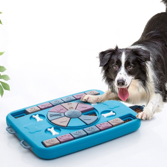 Pet Training Puzzle Game